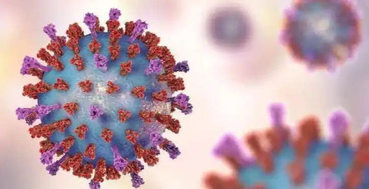 Spirulina Extract Phycocyanin.jpg